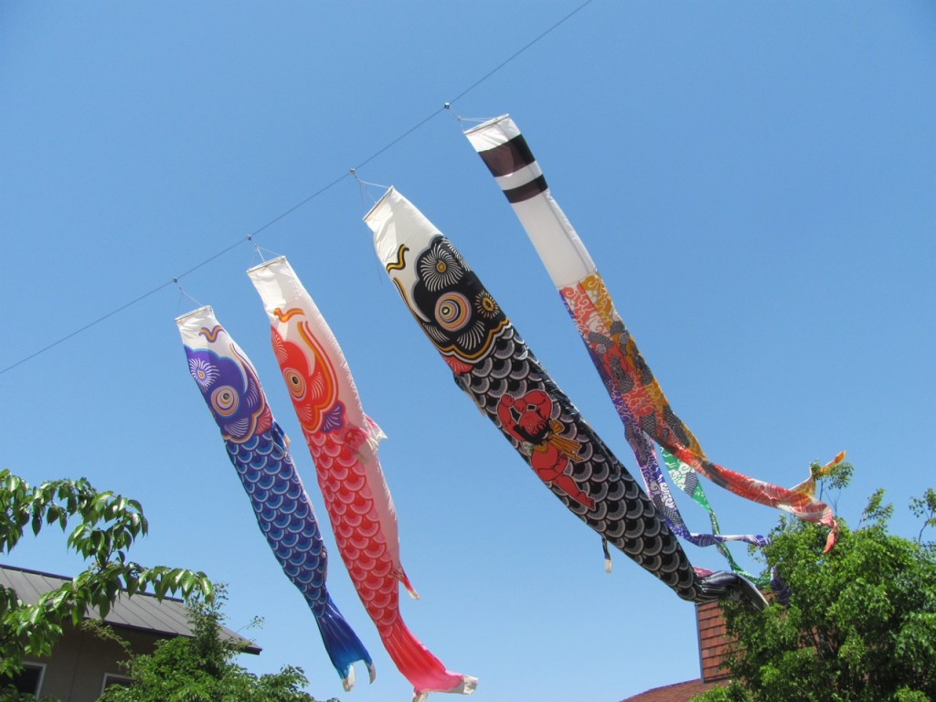鯉のぼり