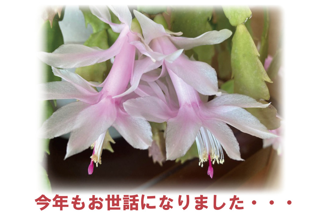 ２０２３年年末