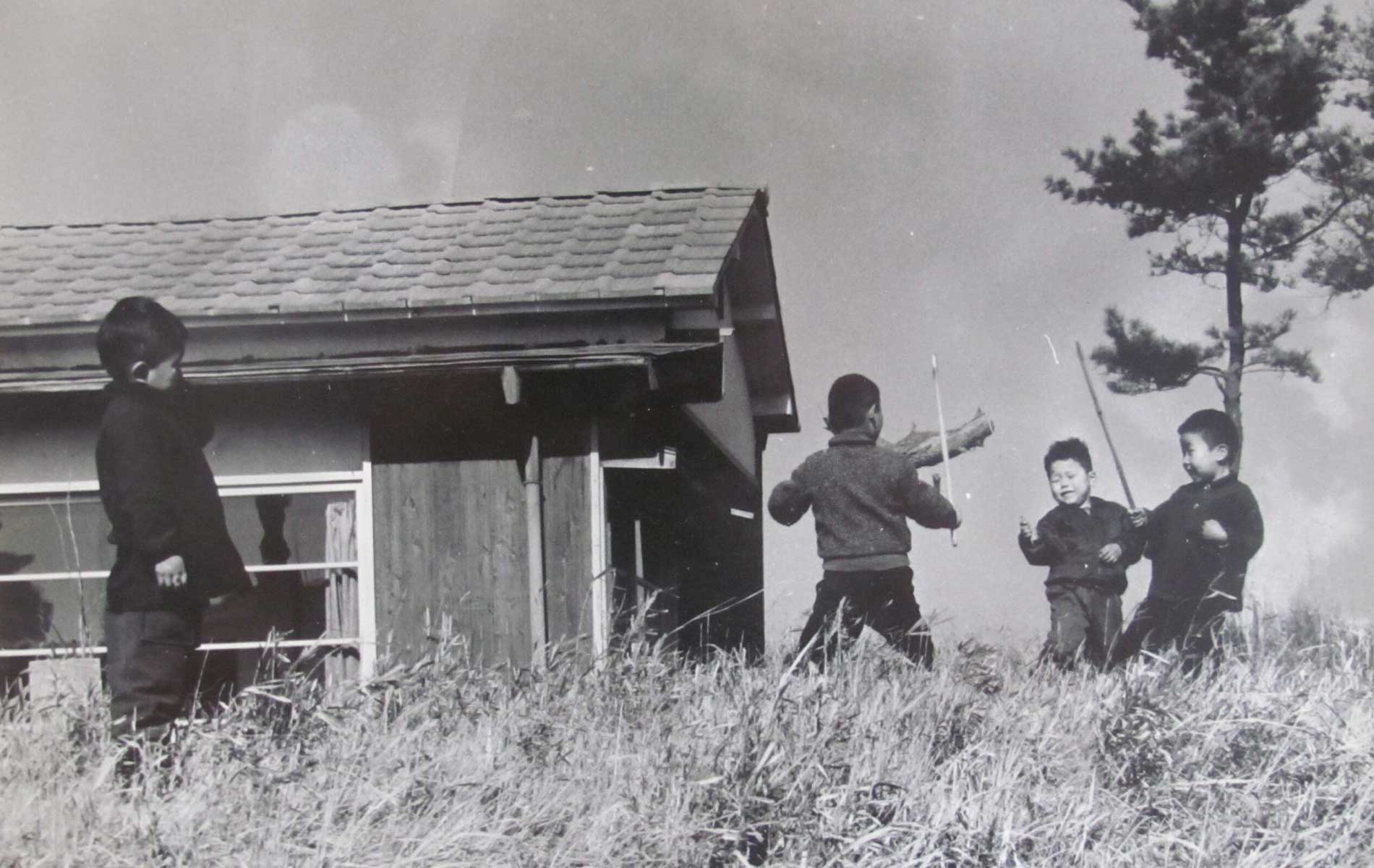 昭和37年 チャンバラごっこ　双葉学園シンボル杉の木